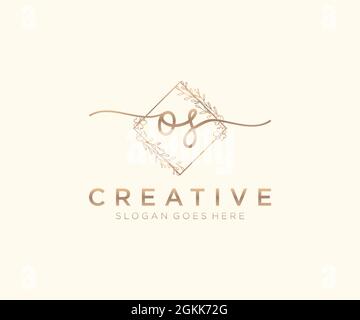 OS Feminine logo beauty monogram and elegant logo design, handwriting logo of initial signature, wedding, fashion, floral and botanical with creative Stock Vector