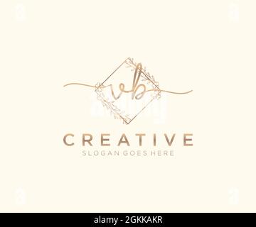 VB Feminine logo beauty monogram and elegant logo design, handwriting logo of initial signature, wedding, fashion, floral and botanical with creative Stock Vector