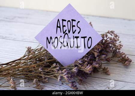 Hand writing sign Aedes Mosquito. Concept meaning the yellow fever mosquito that can spread dengue fever Blank Piece Of Sticky Note Placed On Top Of A Stock Photo