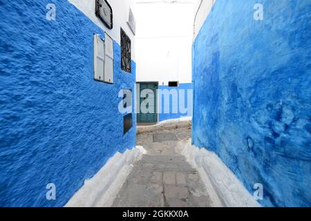 Walking through the narrow streets between the colorful blue & white houses at the Kasbah of the Udayas in Rabat, Morocco. Stock Photo