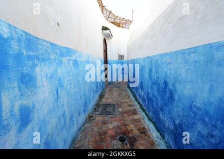 Walking through the narrow streets between the colorful blue & white houses at the Kasbah of the Udayas in Rabat, Morocco. Stock Photo