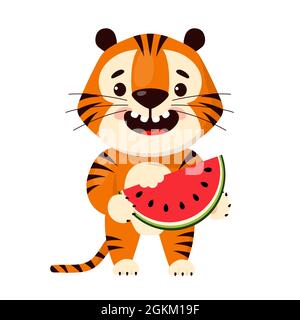 Cute cartoon tiger eating watermelon slice, vector illustration isolated on white background. Stock Vector