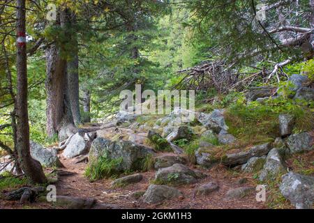 Landscape in Austian Alps, Steiermark, Austria Stock Photo