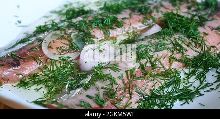 Acciughe al verde - anchovies with green sauce  from Piedmont. Stock Photo