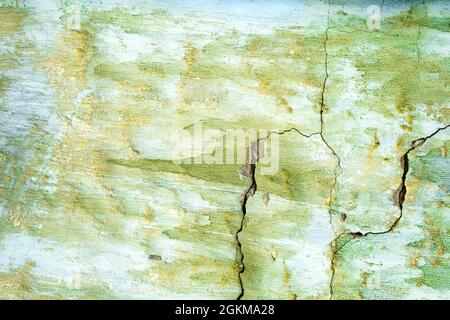 Green painted damaged grunge wall background or texture Stock Photo