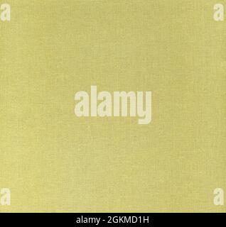 Old cloth canvas texture. Book cover closeup Stock Photo