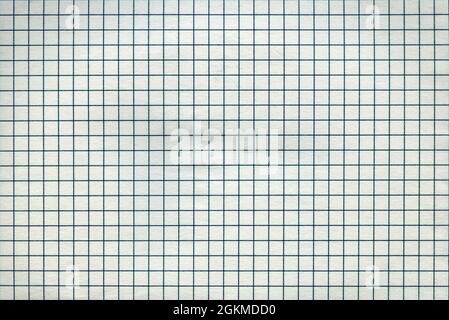 Detailed blank math paper pattern texture as background. Stock Photo