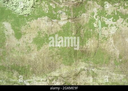 Green concrete wall texture, ancient grunge background Stock Photo