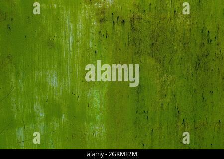 Green concrete painted retro wall texture background Stock Photo