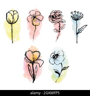 Botanical clip-art. Collection Black flowers on colored backgrounds. Design for cosmetic products. Eco concept.Vector illustration for icon,logo Stock Vector