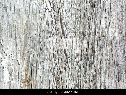 Old painted cracked wood white background of barn door texture Stock Photo