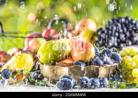 Ripe fruits on the table in the garden during to summer rain. Stock Photo