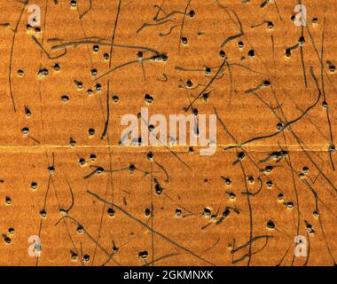 Old paper cardboard beige texture or background Stock Photo