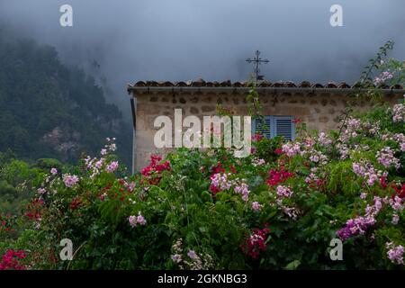Colorful flowers in bloom outside an old stone house in Deyà, Mallorca, Spain Stock Photo