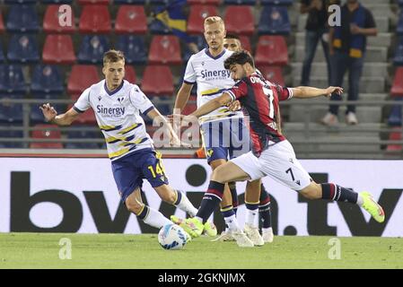 Renato Dall&#39;Ara stadium, Bologna, Italy, September 13, 2021, tiro di Riccardo Orsolini -Bologna  during  Bologna FC vs Hellas Verona FC - Italian Stock Photo