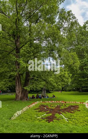 Group of young people sitting on the grass in the shade of a tree in the landscaped gardens of the imperial palace. Innsbruck, Tyrol, Austria, Europe Stock Photo