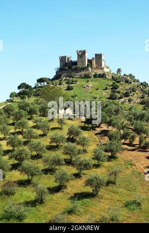 View of the Castle on top of the hill, Almodovar del Rio, near Cordoba, Cordoba Province, Andalucia, Spain, Europe. Stock Photo