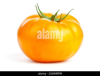 Yellow tomato isolated on white background Stock Photo