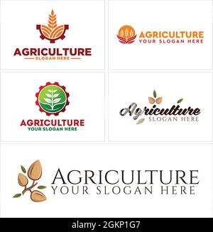 Agriculture wheat plant industry gear logo design Stock Vector