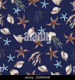 Sea, nautical, marine pattern with isolated hand painted watercolor Stock Photo