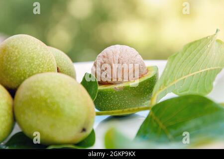 Ripe Walnut with green shell on greenery background. Walnut in green peel Stock Photo