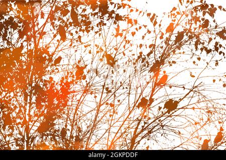 A tree with flying Orange birds. Autumn tree. Vector illustration Stock Vector
