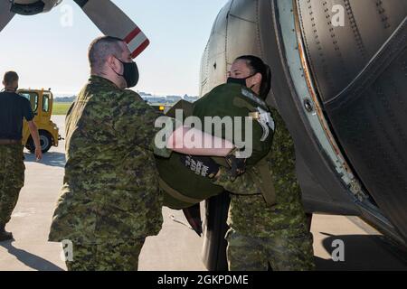 Royal Canadian Air Force members of 17 Mission Support Squadron load a Royal Canadian Air Force CC-130 Hercules from 435 Squadron in preparation for Exercise Amalgam Dart, 17 Wing Winnipeg, Manitoba, June 12, 2021.  Photo: Corporal Darren McDonald 17 OSS Imaging, Winnipeg Stock Photo