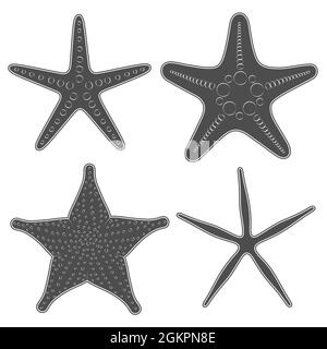 Set of graphic black and white images of sea stars. Isolated vector objects on white background. Stock Vector