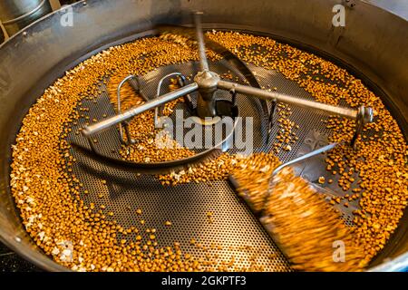 Golden roasted corn kernels turn in the mixing drum - the raw material for the Ticino speciality Farina Bona. Vergeletto, Circolo d'Onsernone, Ticino, Switzerland. Stock Photo