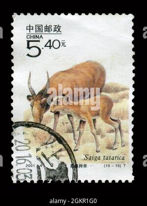 Stamp printed in China shows image of the 2001-4  Key Wild Animals under First-Grade State Protection in China, circa 2001. Stock Photo