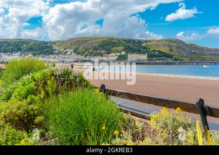 View of Llandudno Pier and the Great Orme in background from Promenade, Llandudno, Conwy County, North Wales, United Kingdom, Europe Stock Photo