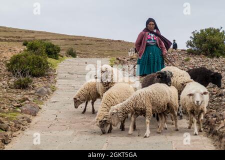 AMANTANI, PERU - MAY 15, 2015: Native woman with her sheep on Amantani island in Titicaca lake, Peru Stock Photo