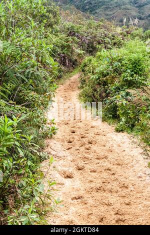 Sandy trail in northern Peru Stock Photo