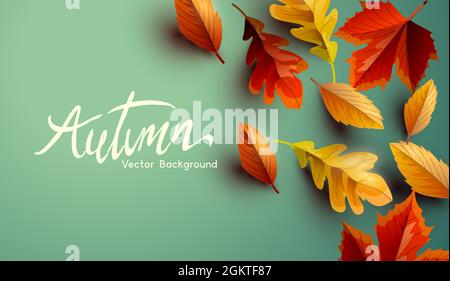 Autumn fall seasonal background design with golden, orange and red leaves. Vector background. Stock Vector