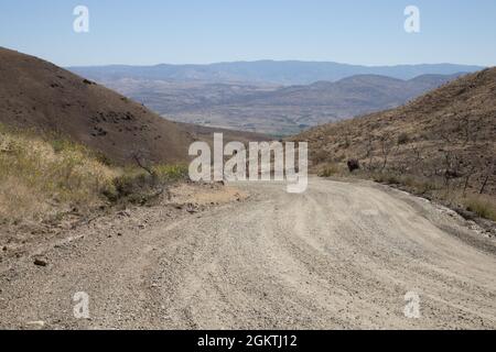 Sandy road in the wilderness in the morning Stock Photo