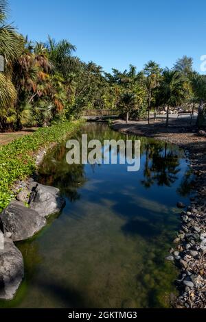 Santa Cruz, Tenerife, Spain - 22 December, 2019. Lake and palms in in the botanical park Palmetum in Santa Cruz De Tenerife, Gran Canaria, Tenerife, S Stock Photo