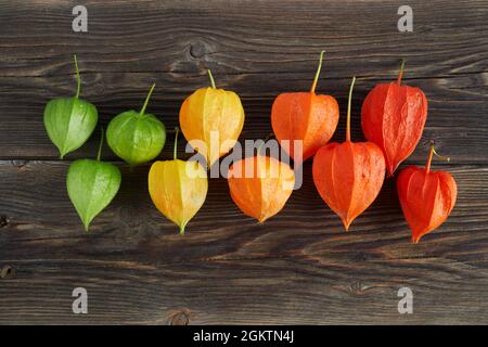 Rainbow colors chinese lantern plant on wooden background Stock Photo