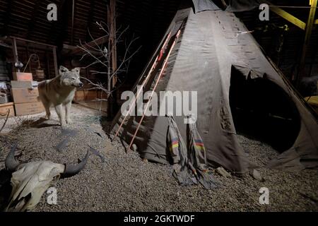 Exhibition of the props using in Hollywood movie Dances with Wolves. 1880 Town.Midland.South Dakota.USA Stock Photo