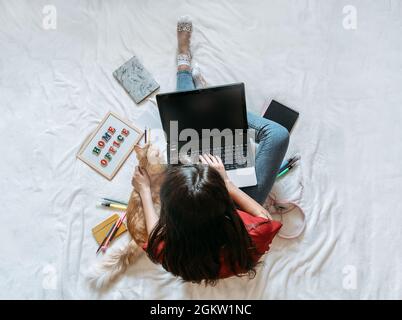 Freelancer young woman working in home office with laptop computer and cat. Remote online working, Flexible workspace and working time Stock Photo