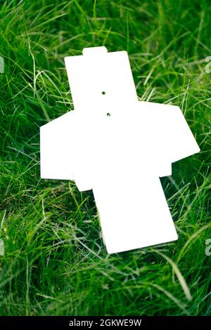 top view of white empty unfolded box for accessories or clothing tags on green grass in summer, with copy space Stock Photo
