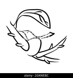 Bird in nest Line art Stock Vector