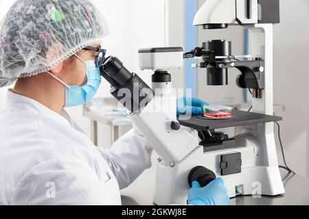 Young female scientist looking at samples under the microscope Stock Photo