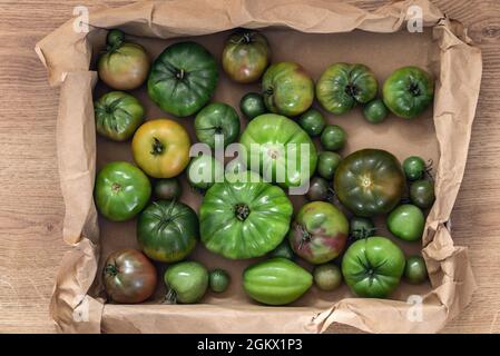 Various green tomatoes are ripening in the carton box indoors Stock Photo