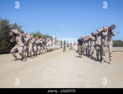 U.S. Marine Corps Recruits with India Company, 3rd Recruit Training Battalion, participate in log drills at Marine Corps Recruit Depot, San Diego, July 19, 2021. Some of the log drill events included side bends, curls, and squats. Stock Photo