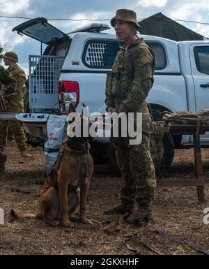 Codey Dog Australian Army Lance Corporal Codey Merlino and Military Police Dog ...