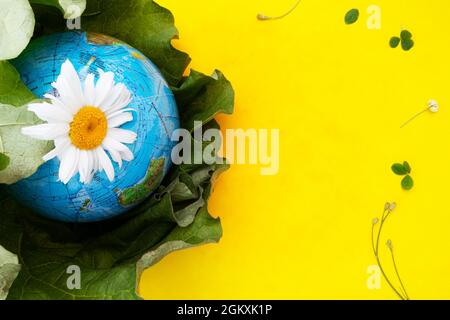 The concept of ecology and nature protection. A globe with a daisy on a yellow background with a place for text. The banner. Stock Photo