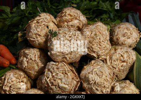 Close up knob turnip rooted celery with green stalk bunch on retail display of fresh food market, high angle view, Stock Photo