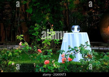 One white table with candle in vase on top in a garden with roses. Romantic design. Magic garden. Outdoors catering stuff. white tableware. Proposal Stock Photo