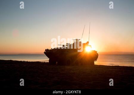 Australian Army Light Armored Vehicles transport U.S. Marines with 1st Battalion, 7th Marine Regiment, British Royal Marine Commandos with 40 Commando, Japan Ground Self Defense Force soldiers and Australian Army 3rd Royal Australian Regiment soldiers, during an amphibious landing at Exercise Talisman Sabre 21 in Ingham, Queensland, Australia, July 29, 2021. Amphibious operations provide a Combined-Joint Force Commander the capability to rapidly project power ashore in support of crisis response at the desired time and location. TS21 supports the Indo-Pacific Pathways initiative to advance a f Stock Photo