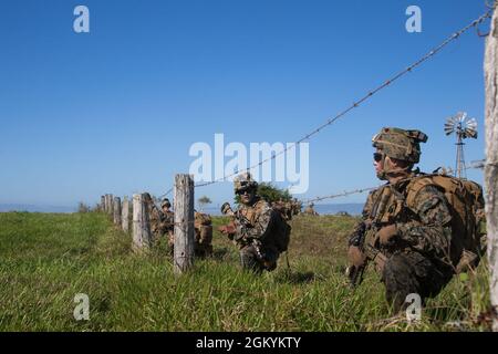 U.S. Marines with 1st Battalion, 7th Marine Regiment, British Royal Marine Commandos with 40 Commando, Japan Ground Self Defense Force soldiers, and Australian Army 3rd Royal Australian Regiment soldiers set security during a movement toward their objective at Exercise Talisman Sabre 21 in Ingham, Queensland, Australia, July 29, 2021. Amphibious operations provide a Combined-Joint Force Commander the capability to rapidly project power ashore in support of crisis response at the desired time and location. TS21 supports the Indo-Pacific Pathways initiative to advance a free and open Indo-Pacifi Stock Photo